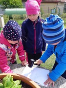 Tvoříme obrázky z pampelišek